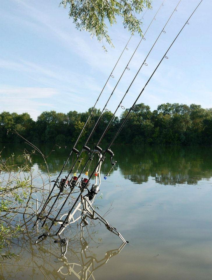 All4carp - 57671917600430588121677493619n.jpg